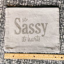 Load image into Gallery viewer, &quot;so Sassy it hurts&quot; travel bag

